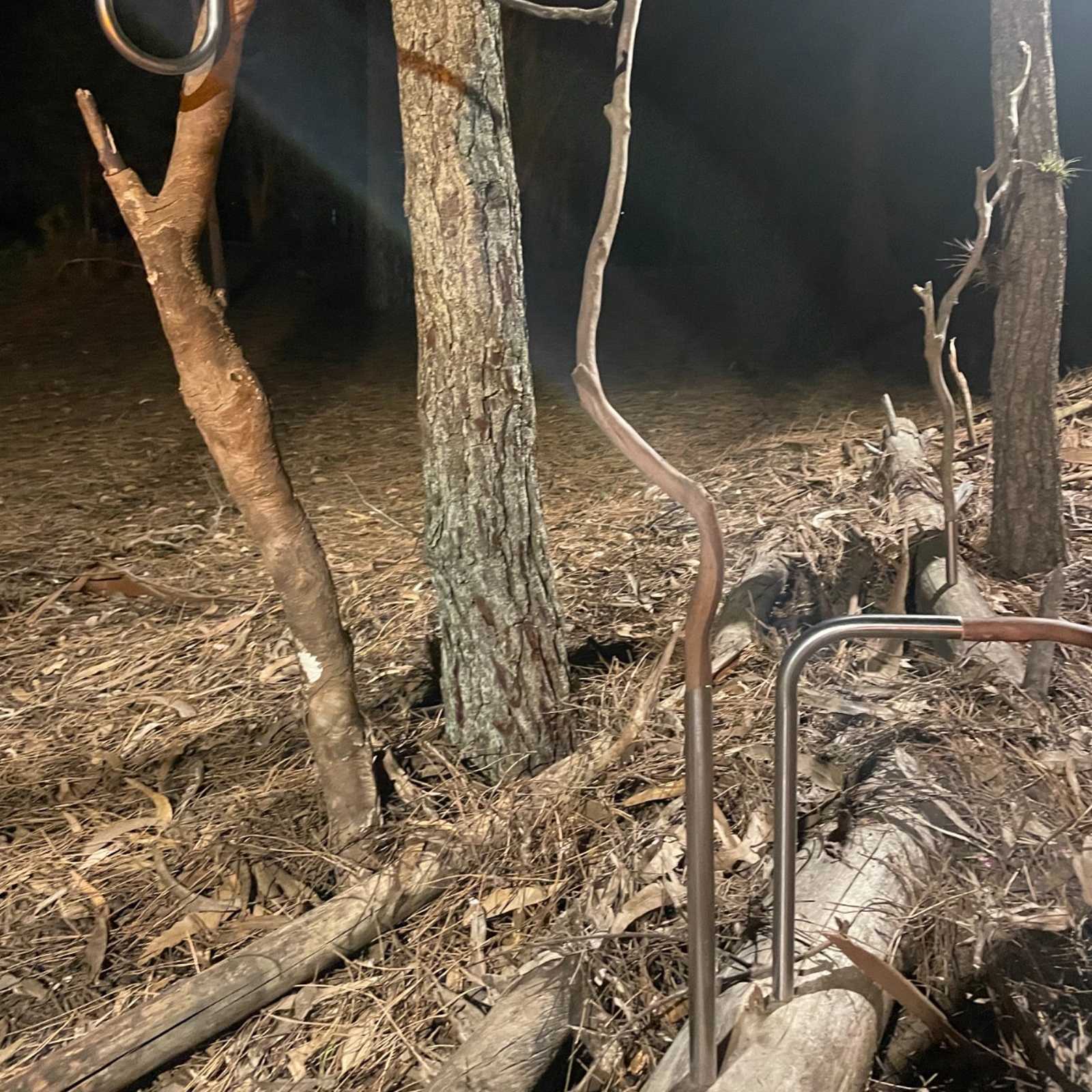 B0127d11 e464 4e08 a8e7 6685e2a1408e